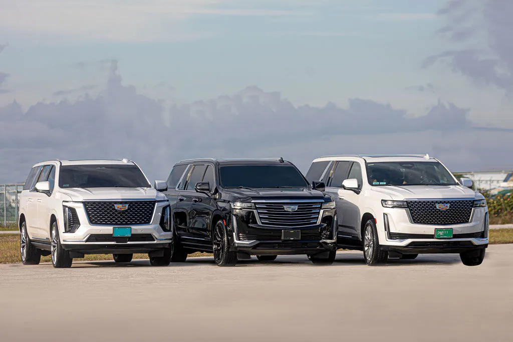 Professional Chauffeur in Nassau